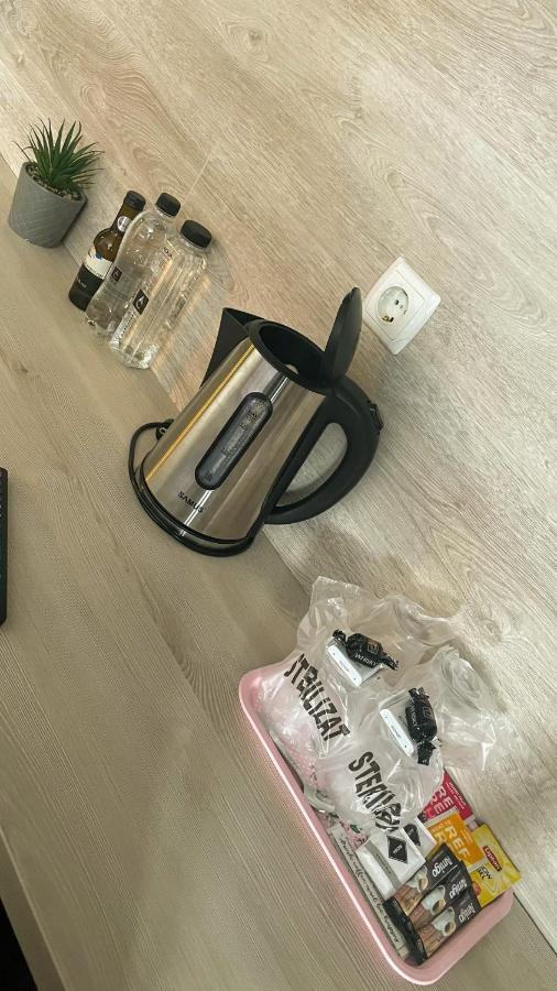 קאמפולונג מולדובנסק Royal Bucovina Residence Adults Only-Self Check-In מראה חיצוני תמונה