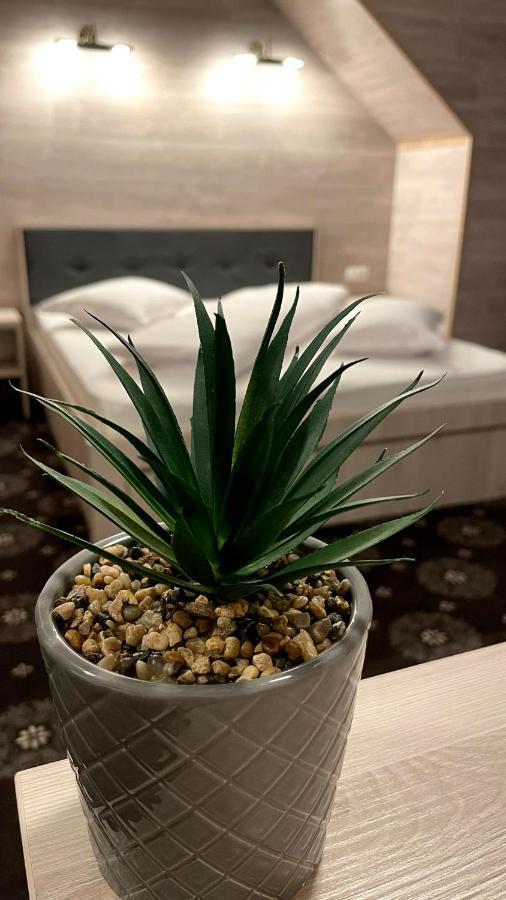 קאמפולונג מולדובנסק Royal Bucovina Residence Adults Only-Self Check-In מראה חיצוני תמונה